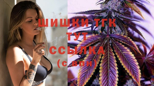 тгк Пересвет