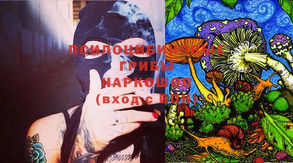 тгк Пересвет