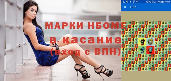 тгк Пересвет