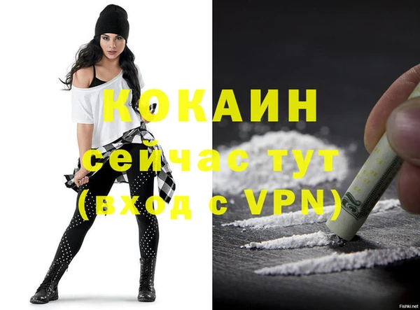 тгк Пересвет