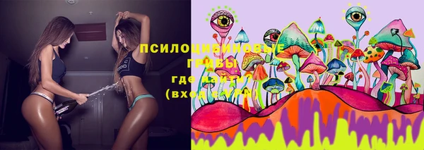 тгк Пересвет