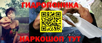 молекула духа Тверь