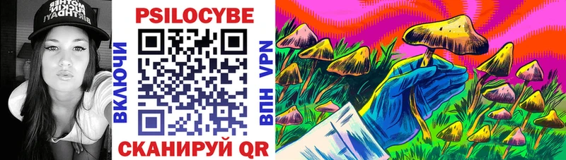 купить   Старая Русса  Псилоцибиновые грибы прущие грибы 